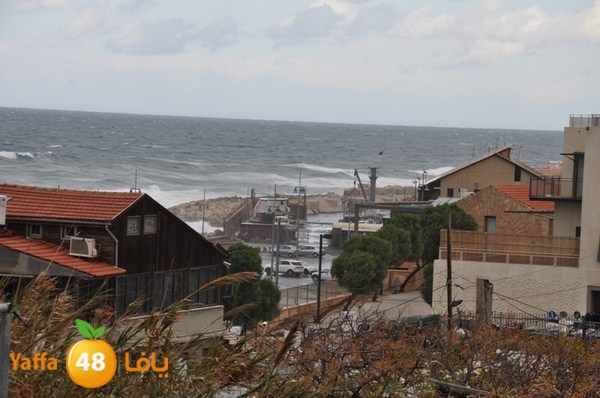 yaffa rain 1211 (1).JPG